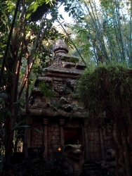 Disneyland - Indiana Jones Adventure